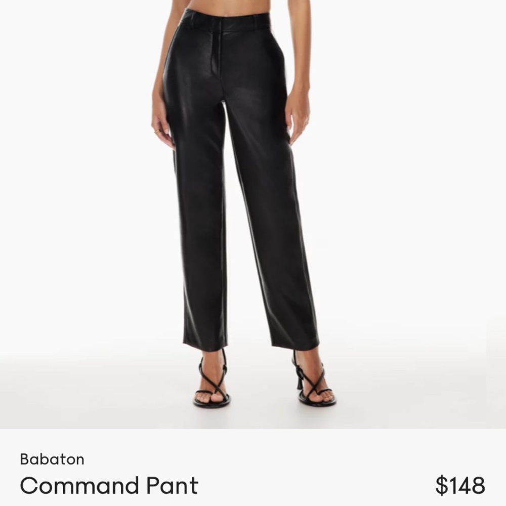 Aritzia Leather Command Pant